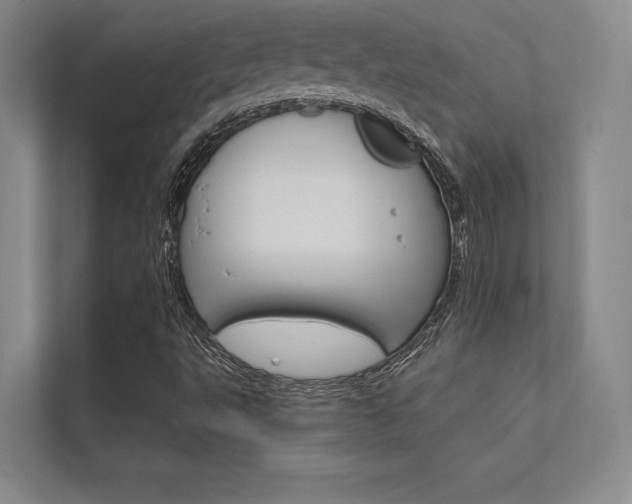 X0000112361495200908131224