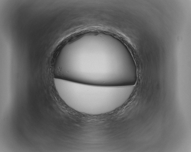 X0000112361496200908131224