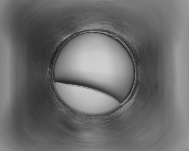 X0000112361497200908131224