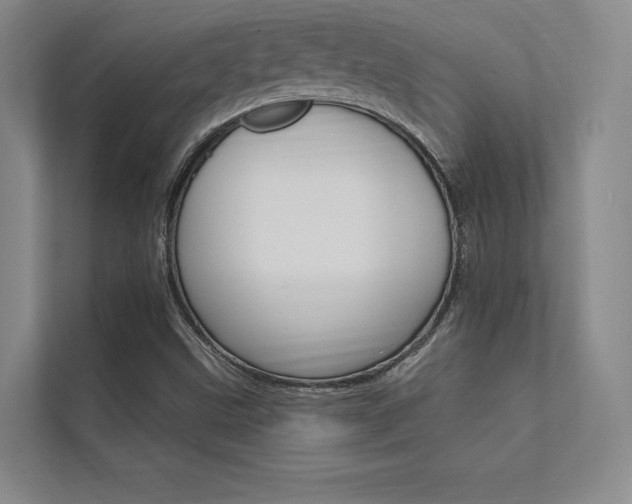 X0000112361499200908131224