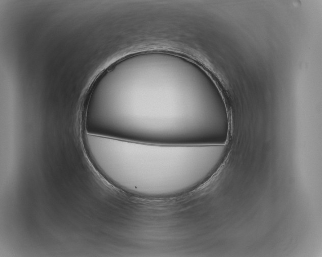 X0000112361500200908131224
