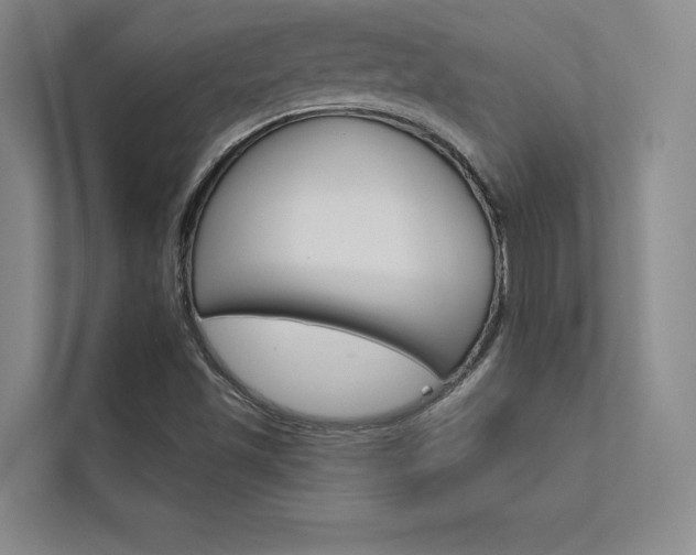 X0000112361501200908131224