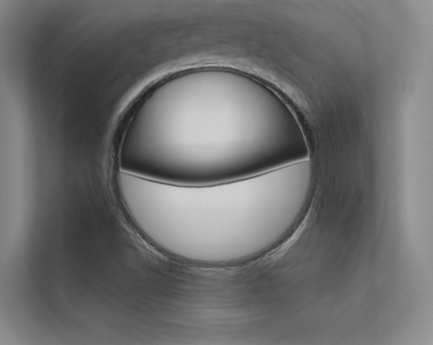 X0000112361502200908131224