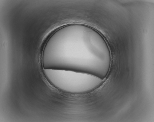 X0000112361503200908131224