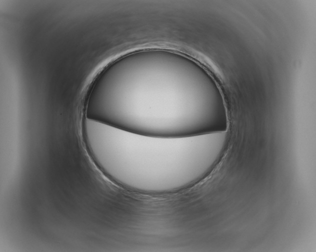 X0000112361504200908131224
