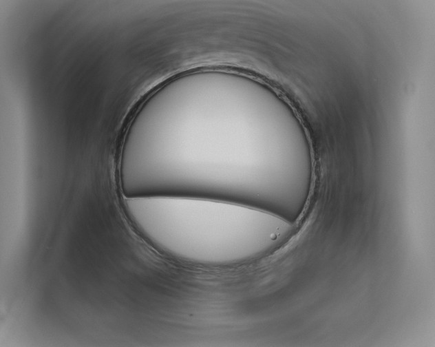 X0000112361505200908131224