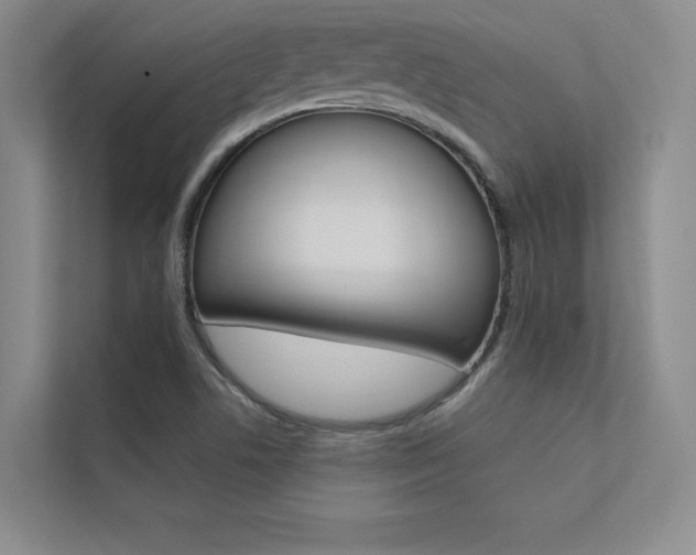 X0000112361506200908131224