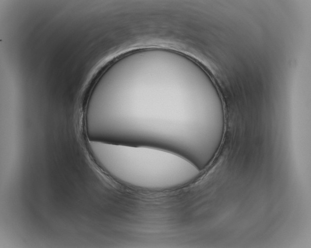 X0000112361507200908131224