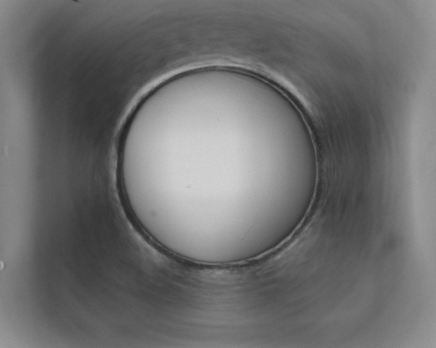 X0000112361508200908131224