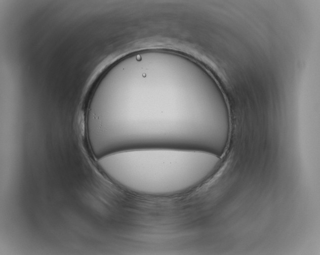 X0000112361509200908131224