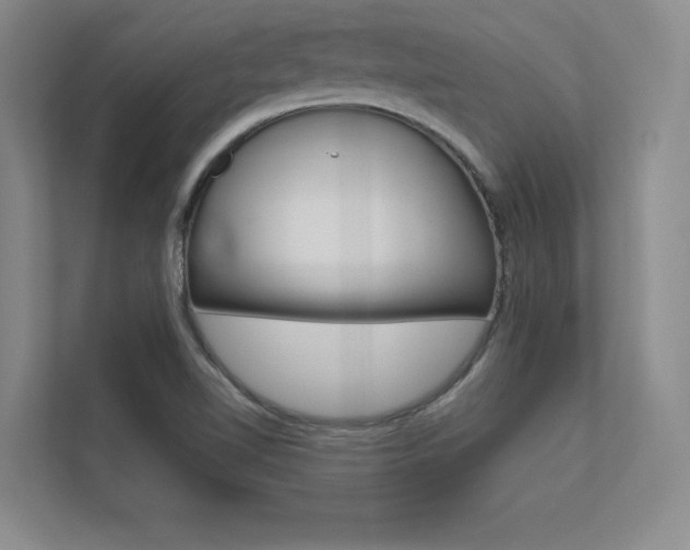 X0000112361510200908131224