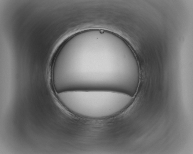 X0000112361511200908131224