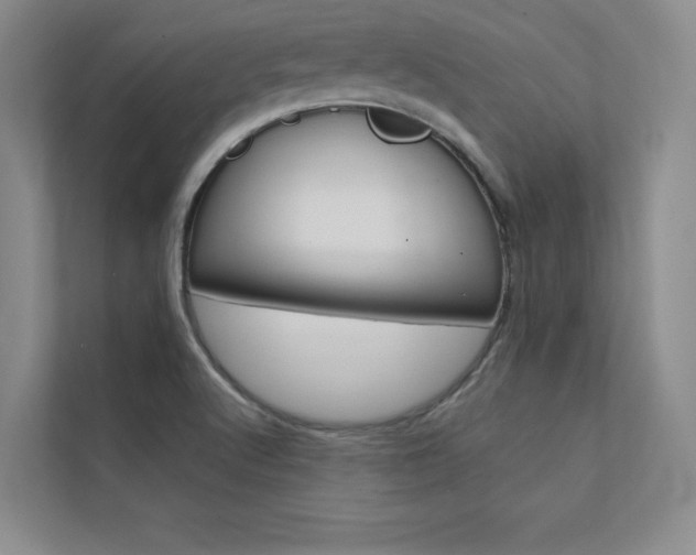 X0000112361512200908131224