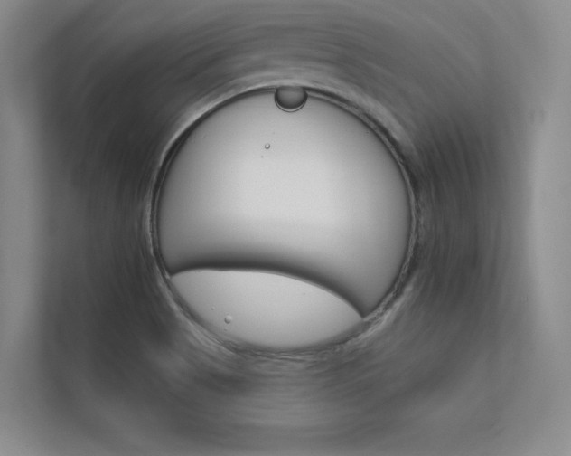 X0000112361513200908131224