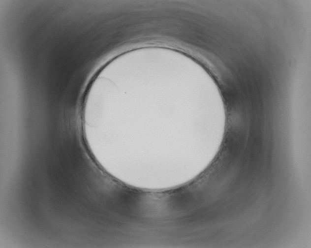 X0000112361514200908131224