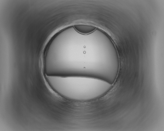 X0000112361515200908131224