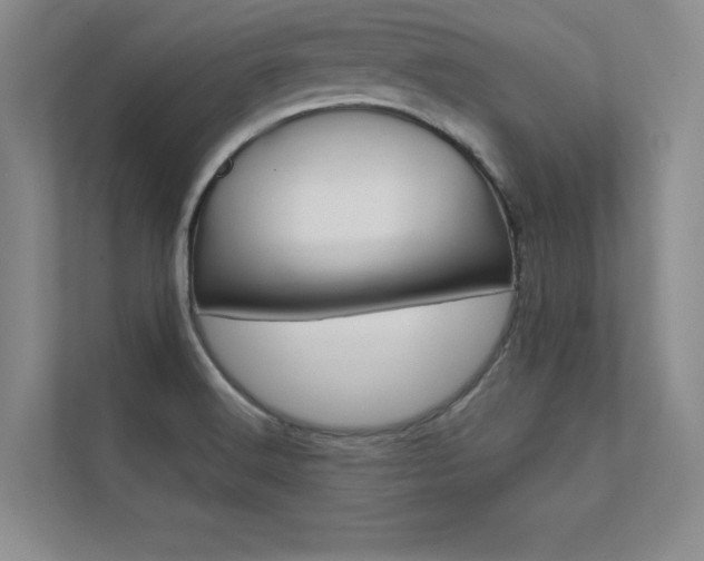 X0000112361516200908131224