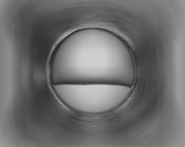 X0000112361517200908131224