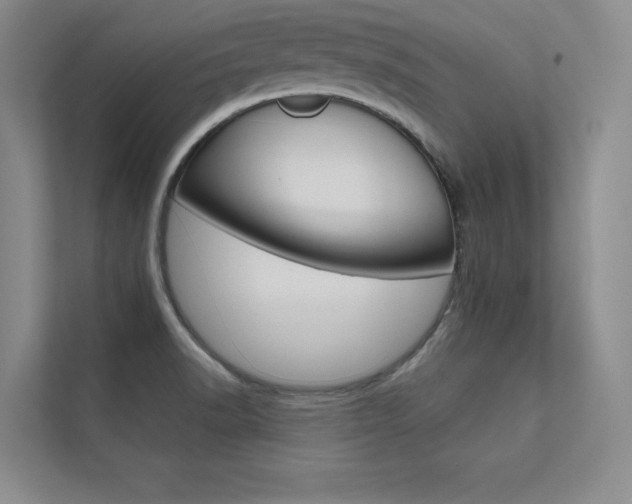 X0000112361518200908131224