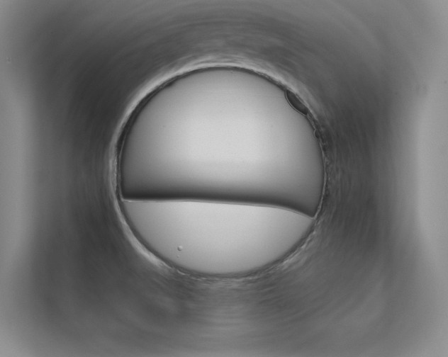 X0000112361519200908131224