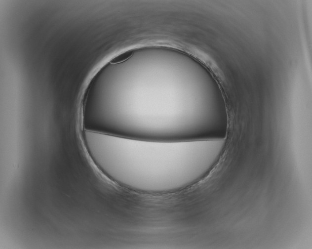 X0000112361520200908131224