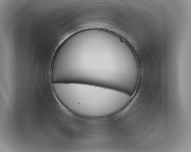 X0000112361521200908131224