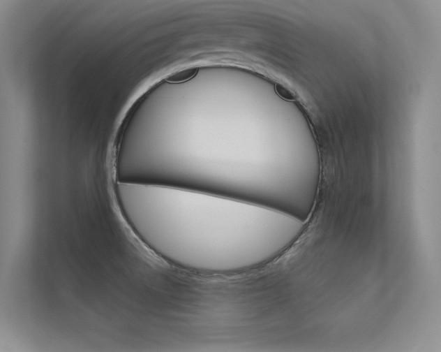 X0000112361522200908131224