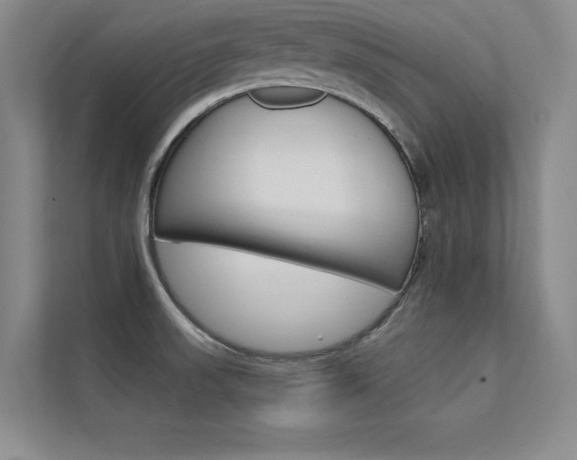 X0000112361523200908131224