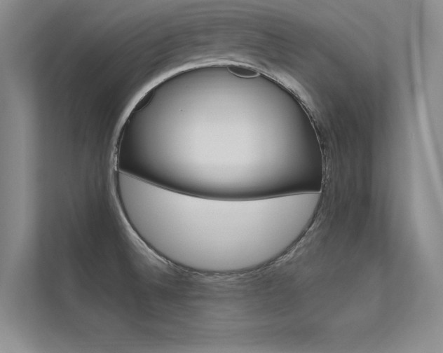 X0000112361524200908131224