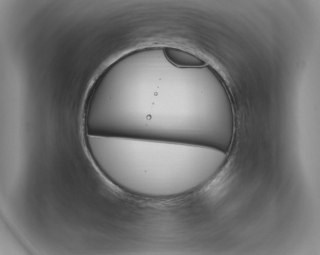 X0000112361525200908131224