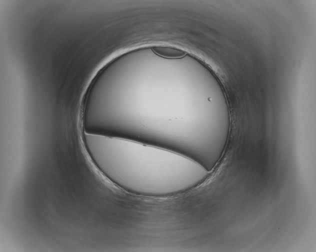 X0000112361526200908131224