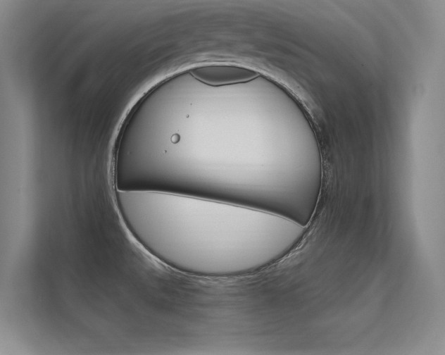 X0000112361527200908131224