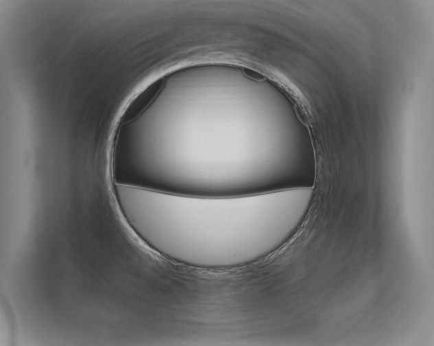 X0000112361528200908131224