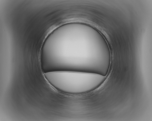 X0000112361529200908131224