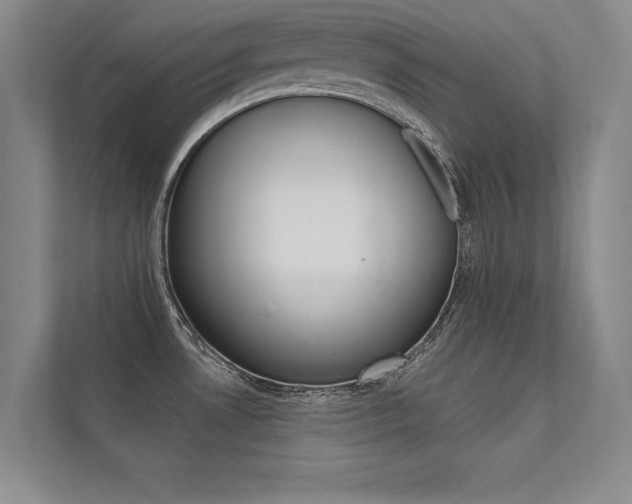 X0000112361530200908131224