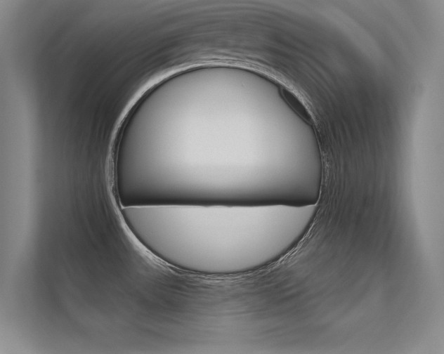 X0000112361531200908131224