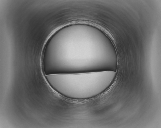 X0000112361533200908131224