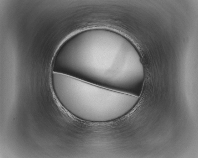 X0000112361534200908131224