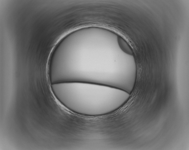 X0000112361535200908131224