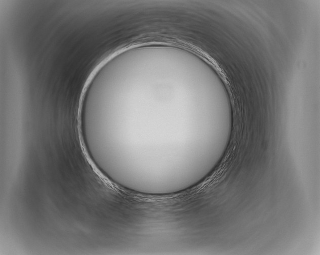 X0000112361536200908131224