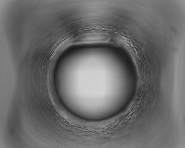 X0000112360001200908131506