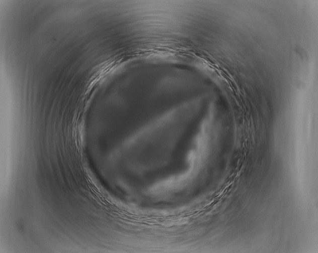 X0000112360002200908131506