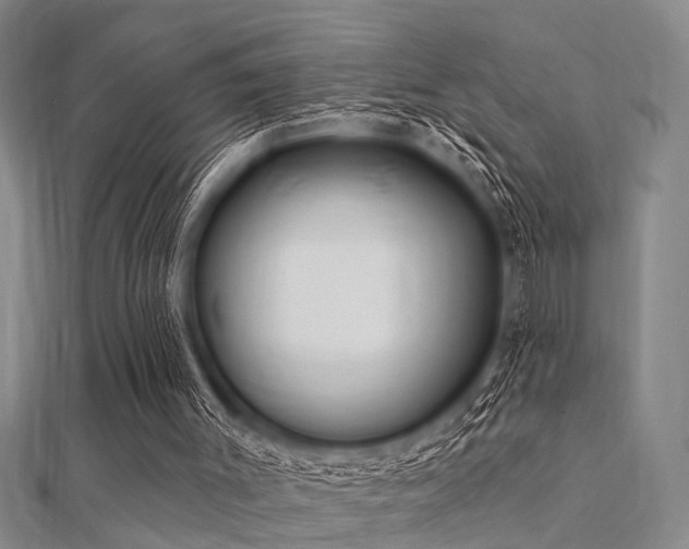 X0000112360003200908131506