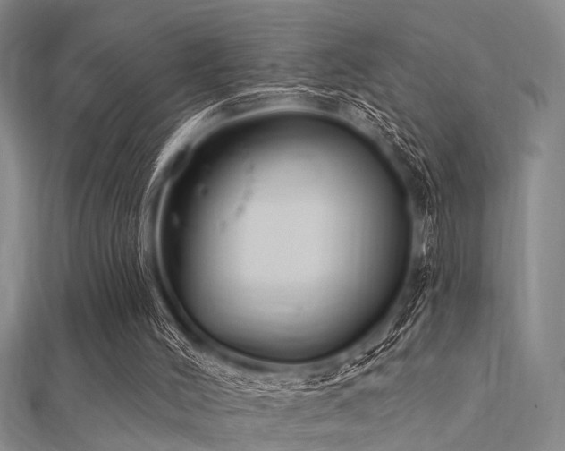 X0000112360004200908131506