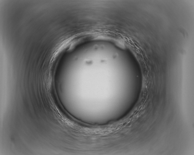 X0000112360005200908131506