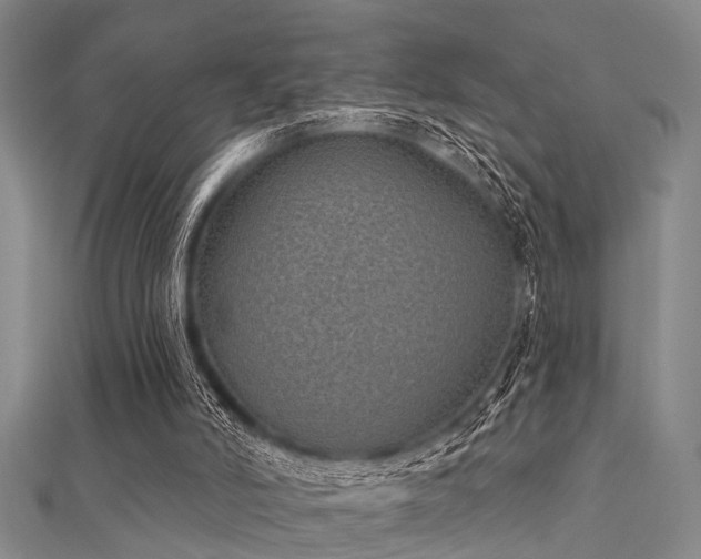 X0000112360006200908131506