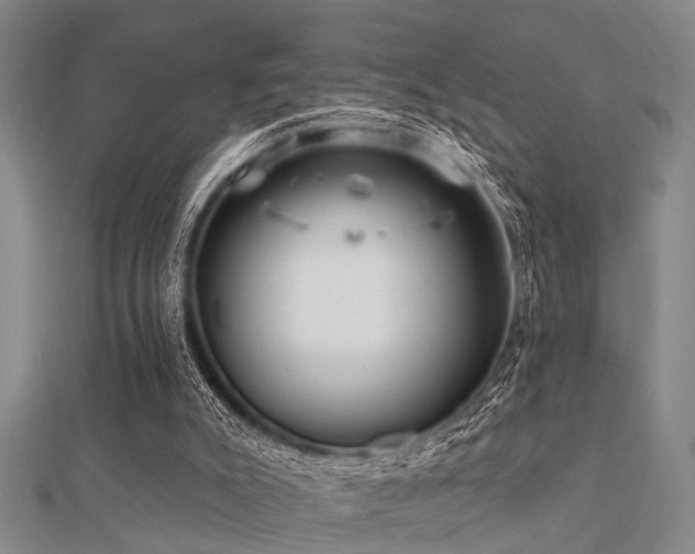 X0000112360007200908131506