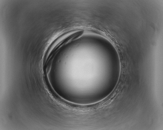 X0000112360008200908131506