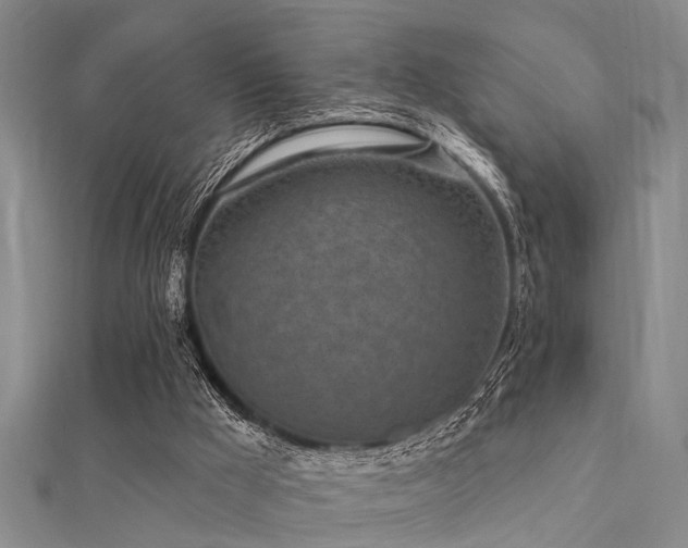 X0000112360009200908131506