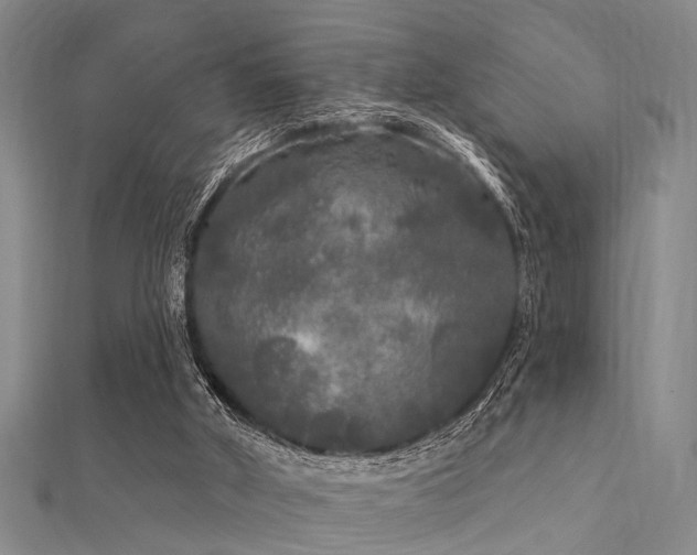 X0000112360010200908131506